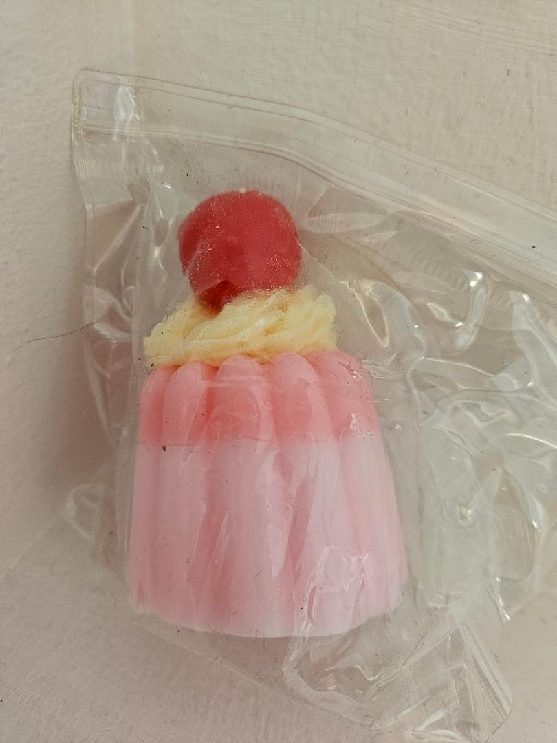 Viral Jello Dessert Squishy