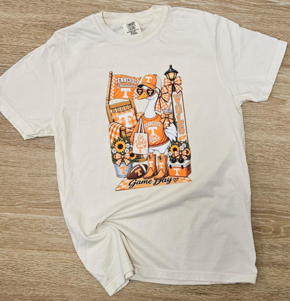 Curvy TN Game Day Porch Goose Tee