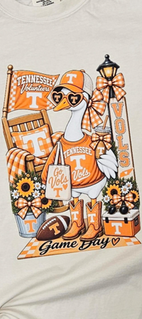 Curvy TN Game Day Porch Goose Tee