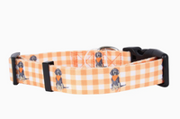 Bluetick Coonhound Gingham Dog Collar
