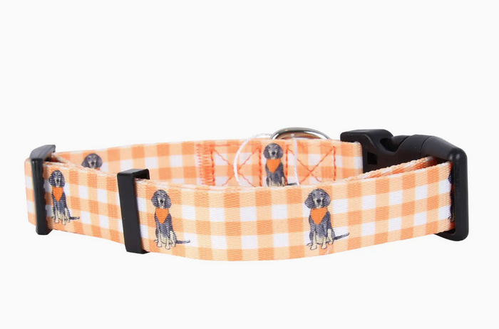 Bluetick Coonhound Gingham Dog Collar