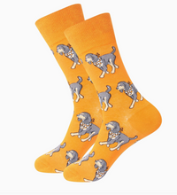 Walking Bluetick Coonhound Socks