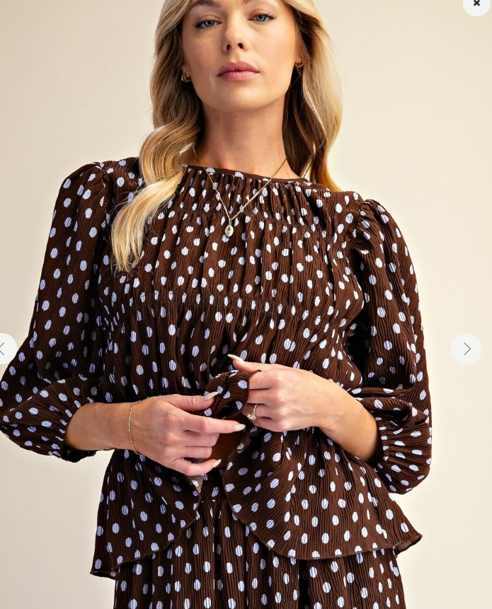 Polka Dot Printed Top in Brown