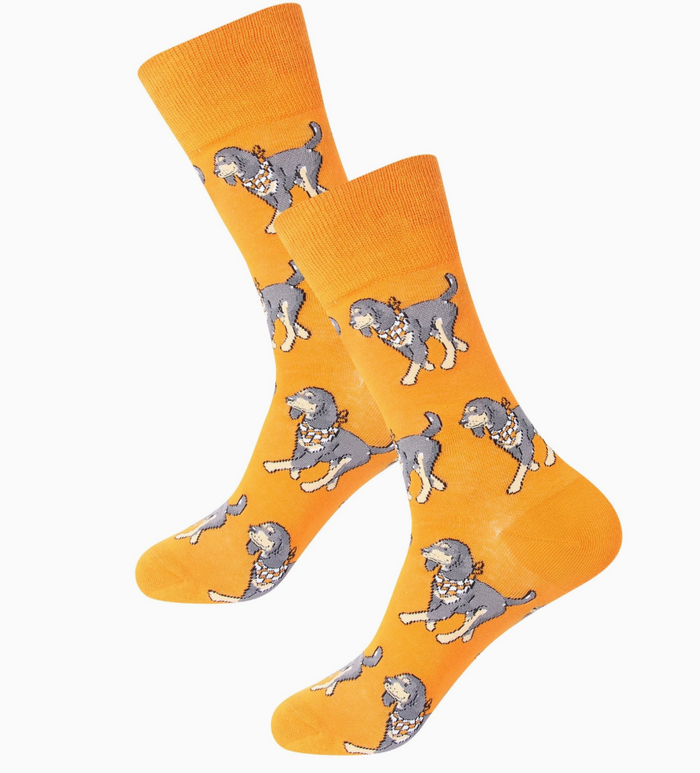 Walking Bluetick Coonhound Socks
