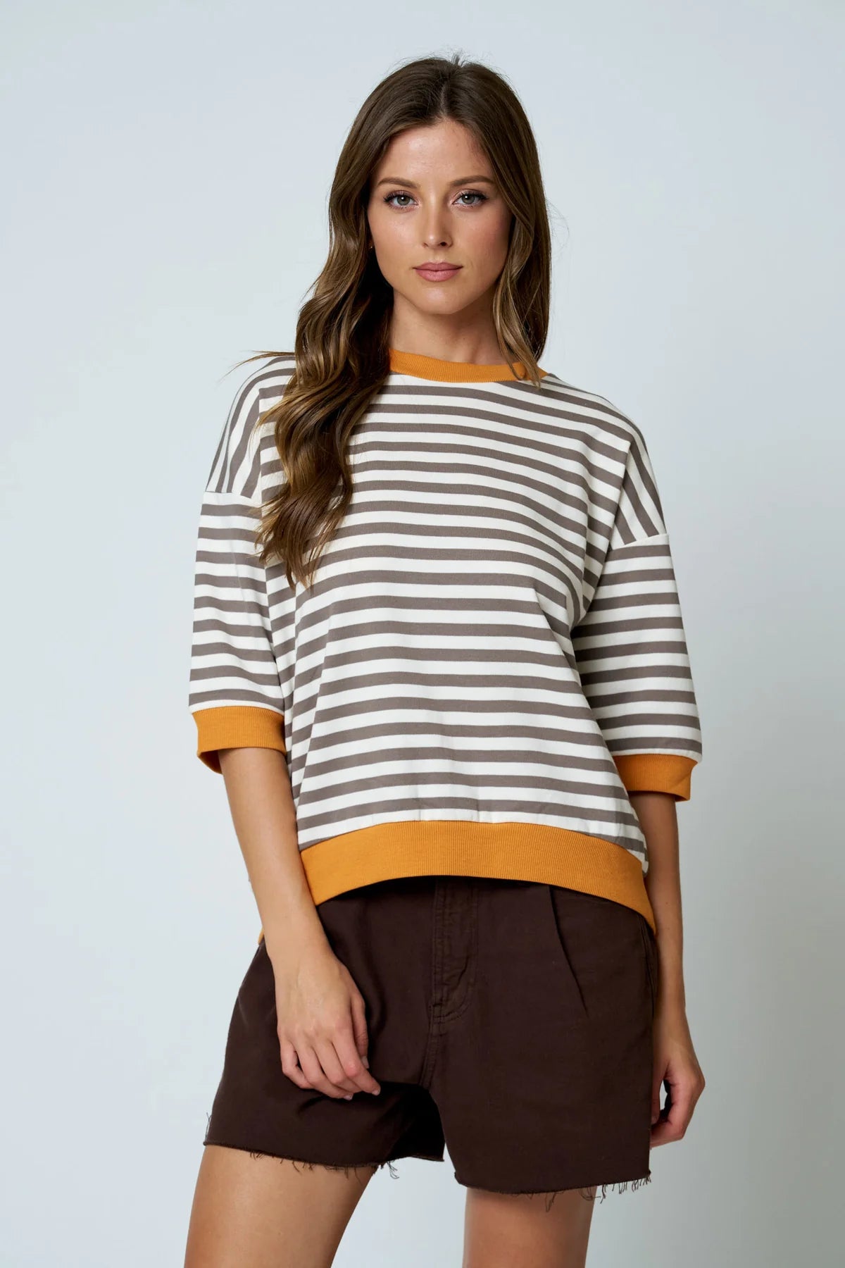 Colorblock Trim Stripe Short Drop Sleeve in Deep Taupe Multi