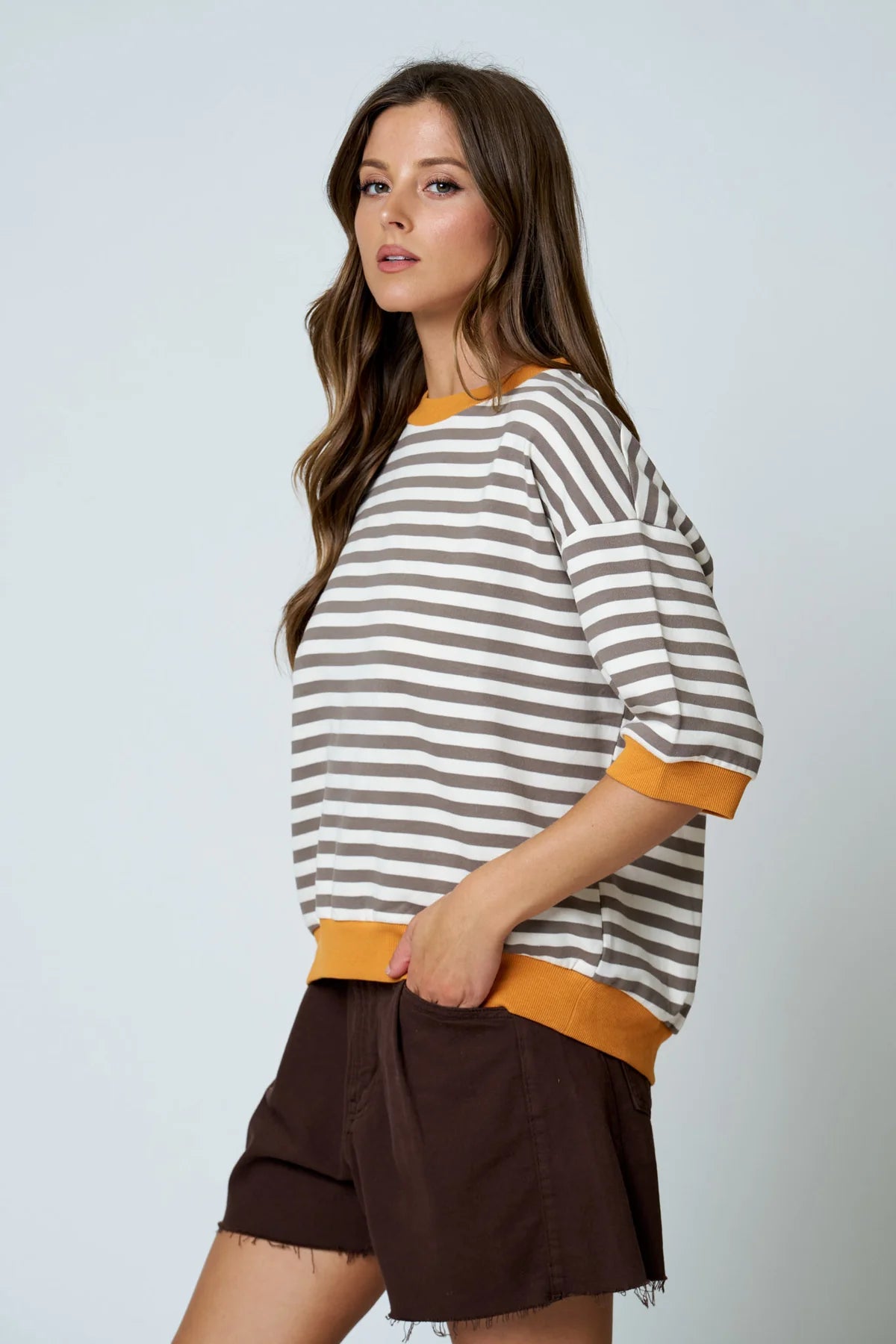 Colorblock Trim Stripe Short Drop Sleeve in Deep Taupe Multi